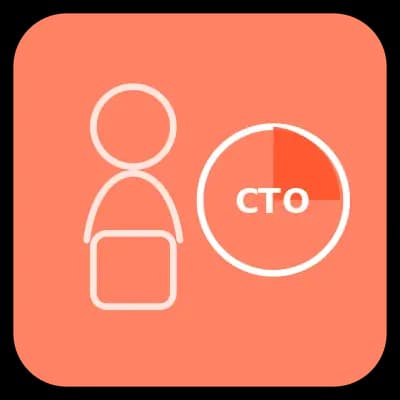 Fractional CTO